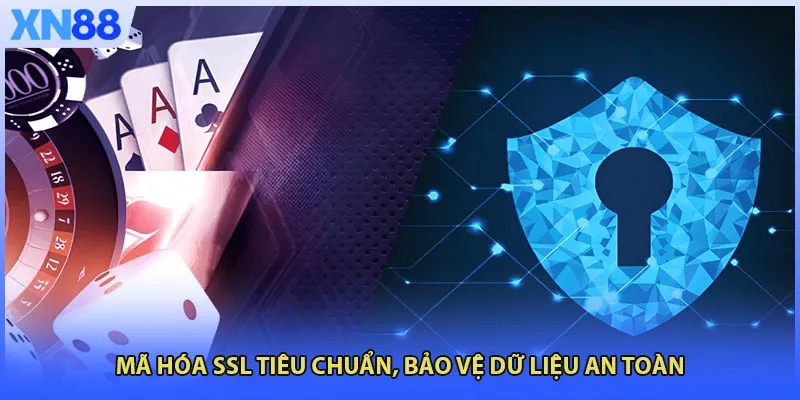Mã hóa SSL tiêu chuẩn, bảo vệ dữ liệu an toàn